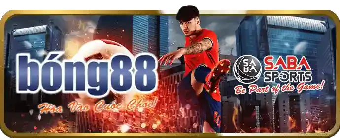 Các kênh liên hệ tg 88